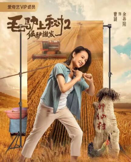 一直忘了的姑娘